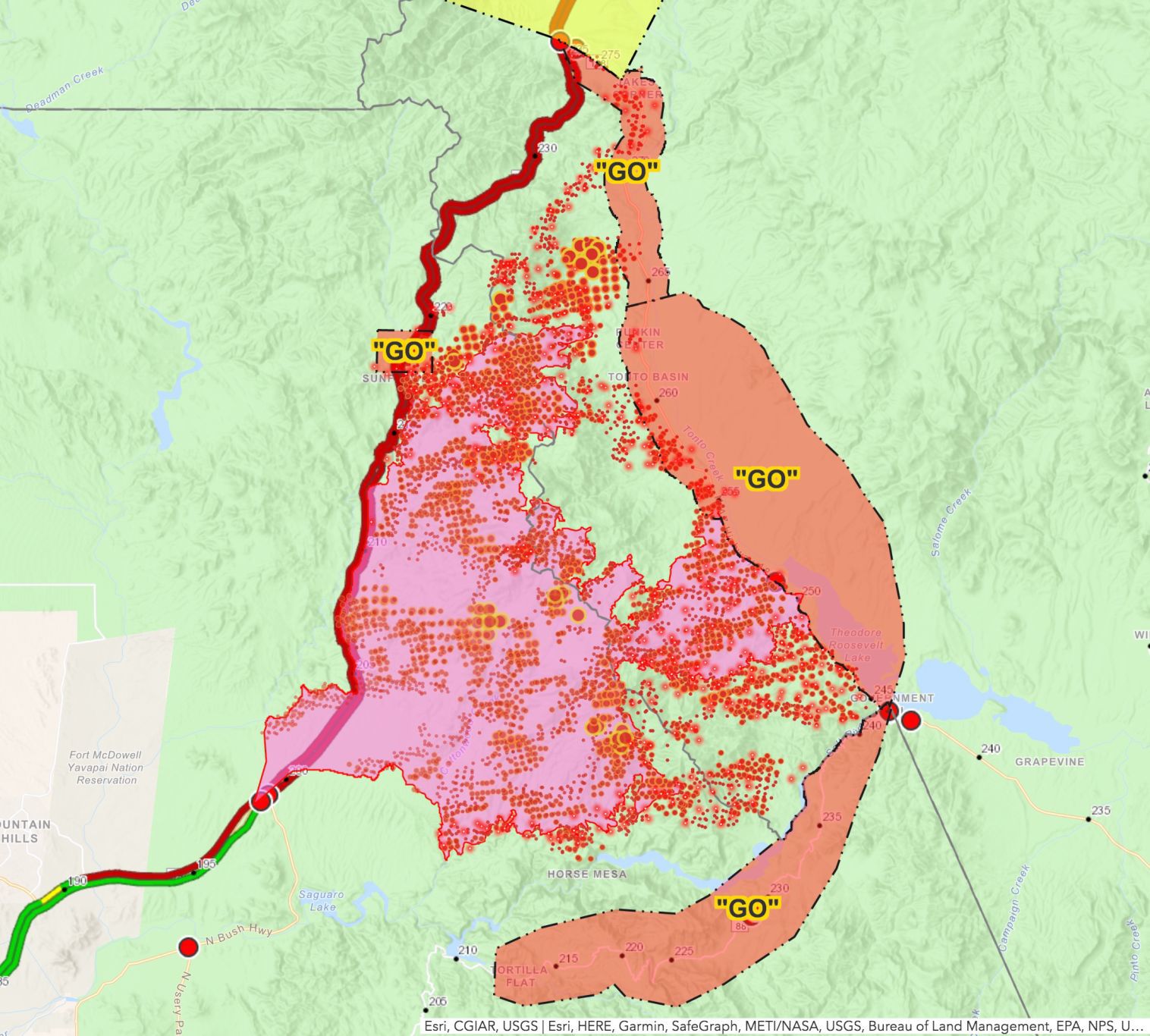 Bush Fire